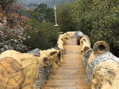 -少华山国家森林公园