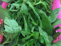 -15年老字号鑫鑫猪肚鸡·椰子鸡海南火锅(兴隆华侨农场店)