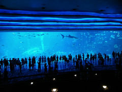 android_upload_pic-长隆横琴湾酒店(珠海旗舰店)