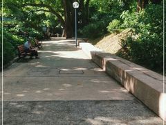 -九龙公园