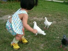 -亚龙湾国际玫瑰谷