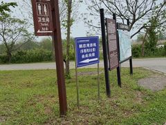 -盐城丹顶鹤湿地生态旅游区
