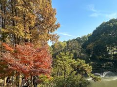 -上海醉白池公园