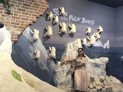 -济州岛泰迪熊博物馆