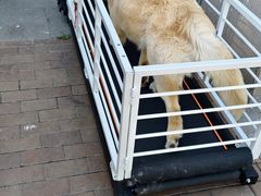 -卖呆儿咖啡(望京店)