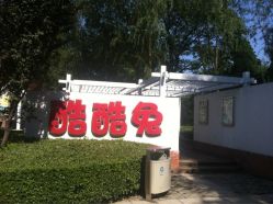 点击看大图 iphone_upload_pic-酷酷兔少儿拓展天地