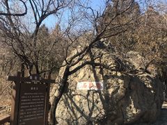 -阳台山自然风景区