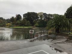 -墨尔本皇家植物园