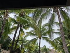 -海南清水湾莱佛士酒店