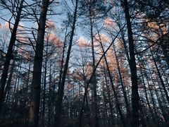 -帽儿山国家森林公园