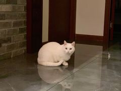 -一盃山水咖啡茶馆