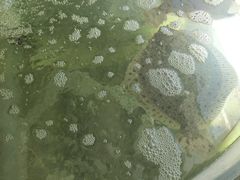 -四海鲜渔家菜(黄金海岸店)