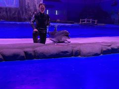 -华夏文旅海洋公园