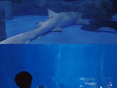 -常州海昌海洋探索馆