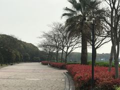 -水上明月·湖景餐厅