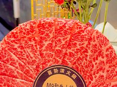 -喜聚薈·花膠雞海鮮火鍋(越秀店)