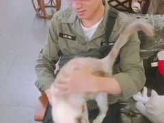 -猫色咖啡·猫咖