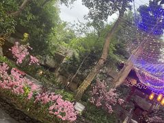 -海口观澜湖火山温泉谷