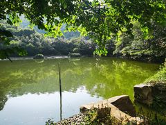 -水濂山森林公园