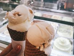 yogurt-Lolita's Gelato