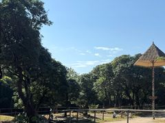 -深圳野生动物园