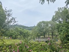 -苏州上方山国家森林公园
