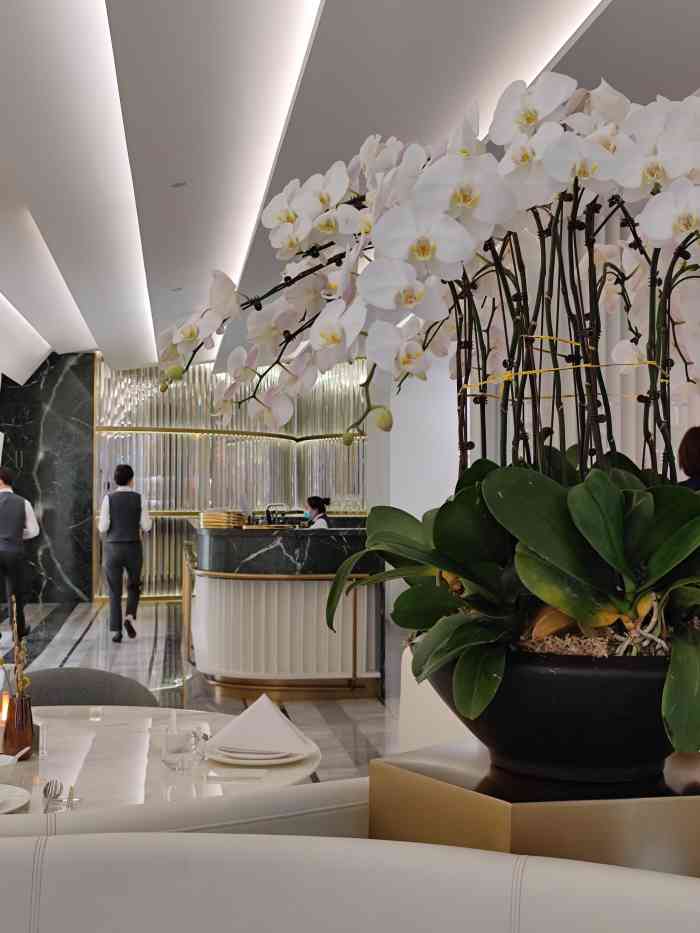 翠玲珑cui-"年度最期待的餐厅终于正式开营业!最近被朋.