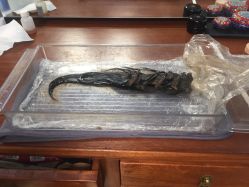 -胭脂猫京剧摄影