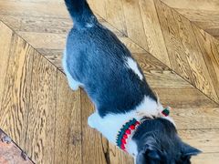 -Me Coffee下午茶艺术空间