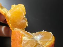 -花菇朵·云山雀 ll 野生菌锅·野果酸汤·精品滇菜(万柳店)