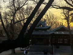 -晋祠公园