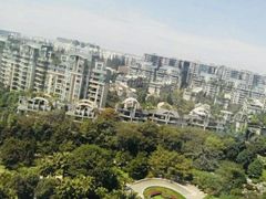 -神仙树公园