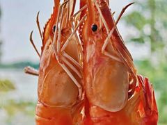 -蟹天蟹地农家菜·阳澄湖大闸蟹(浅水湾店)