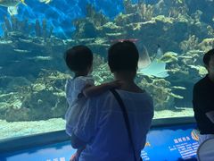 -海合安武汉极地海洋公园