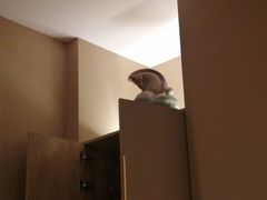 -良子健身·竹Spa(五四广场店)