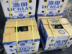 -江杨农产品批发市场