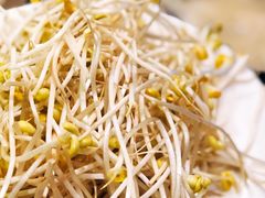 豆芽-食玉轩临江鱼捞