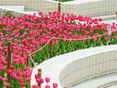 -朝阳公园