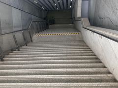 -桃浦新村(地铁站)