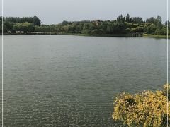 -东郊湿地公园