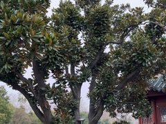 -汴河街
