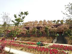 -绵阳盛世樱花悠乐谷