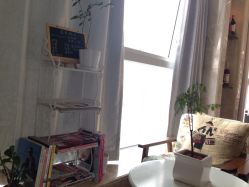 -ＤＯＭＯプロの美容サロン