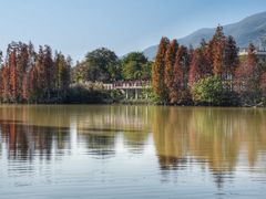 -星湖旅游景区七星岩