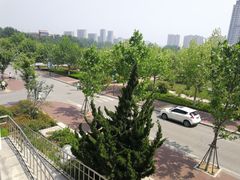 -山东外贸职业学院