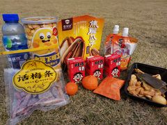 -重庆园博园
