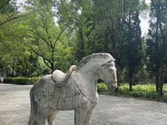 -洛阳白马寺