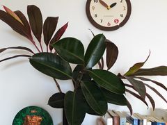 -一坐一忘云南菜(北京skp店)