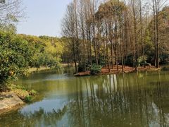 -上海滨江森林公园