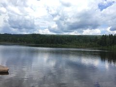 -五营红松林海景区